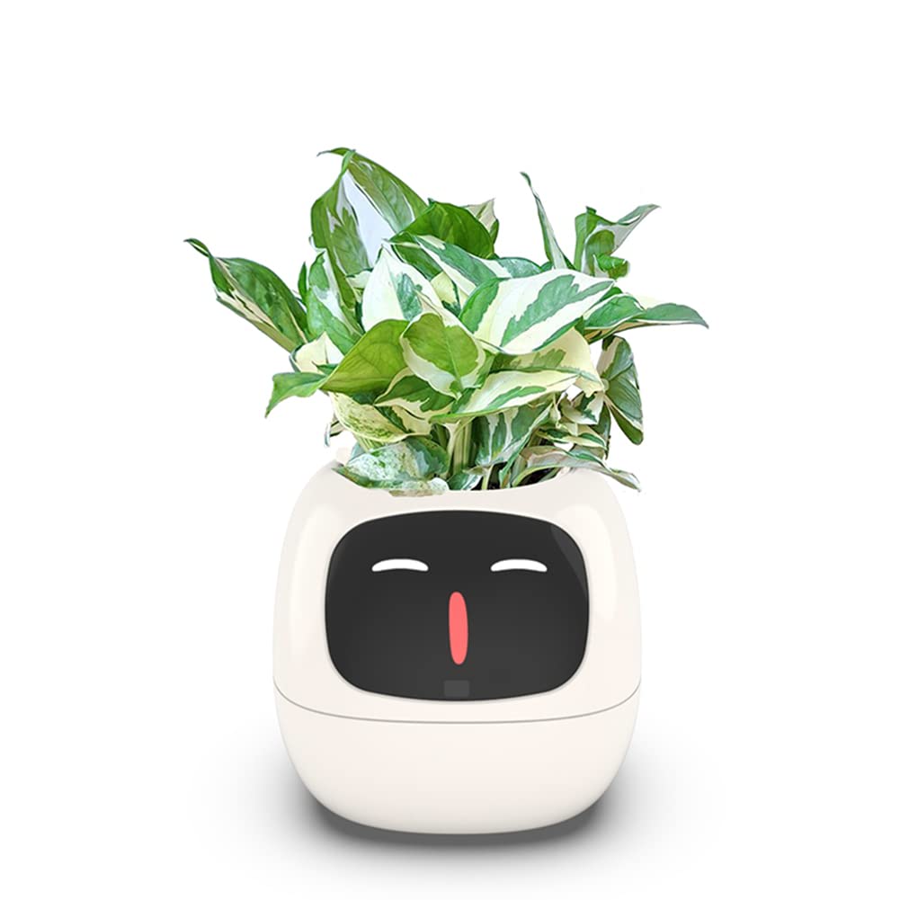 Amazon.com: TPHRAVAL Intelligent Flower Pot, Electronic Bud